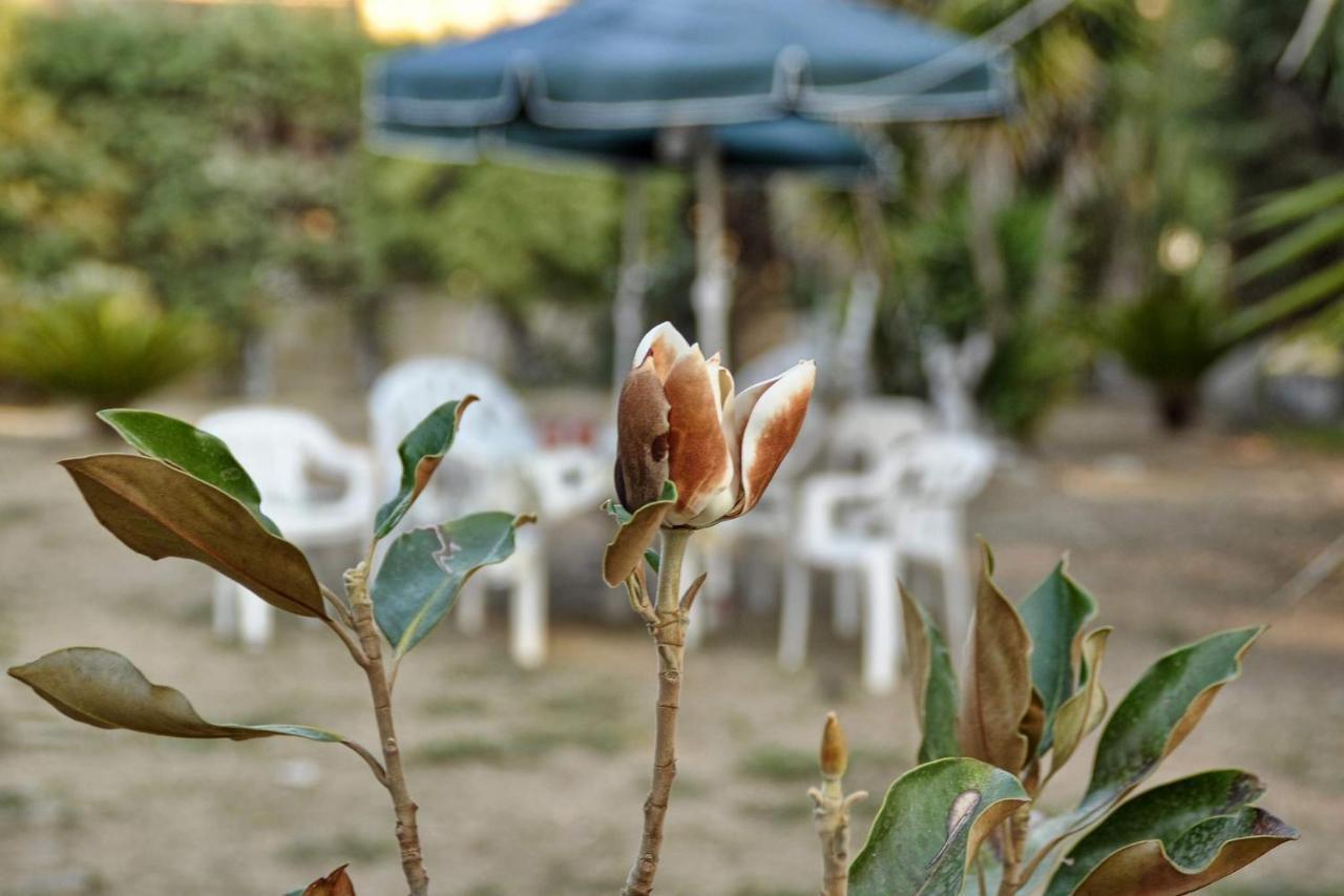 Kloudas Apartments Potamos  ภายนอก รูปภาพ